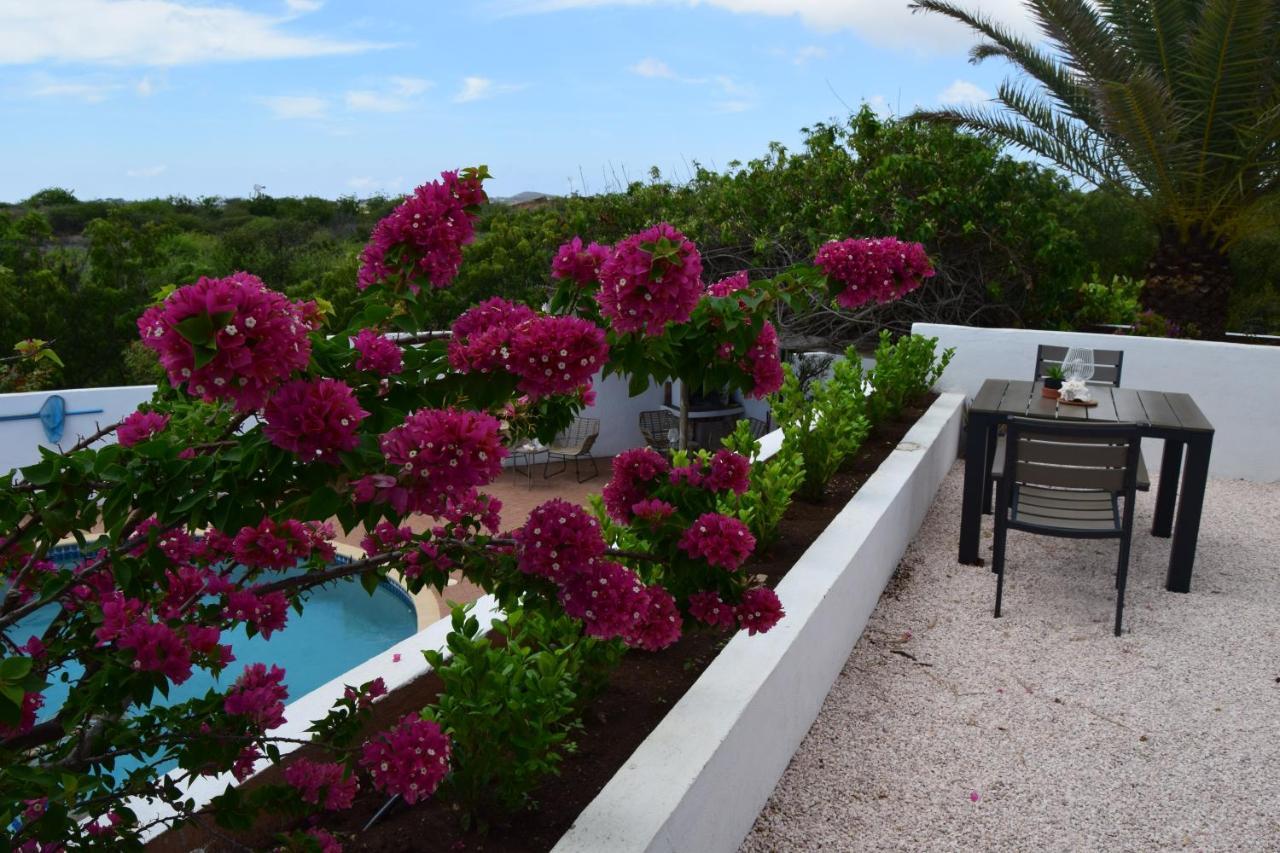 Saint Joris A Tiny Boutique Resort Βίλλεμσταντ Εξωτερικό φωτογραφία