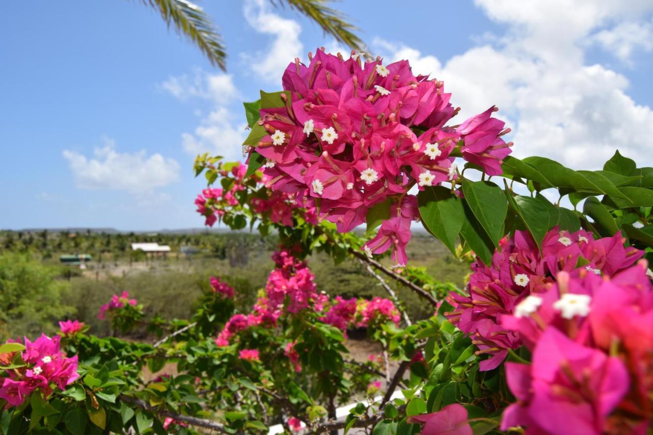 Saint Joris A Tiny Boutique Resort Βίλλεμσταντ Εξωτερικό φωτογραφία