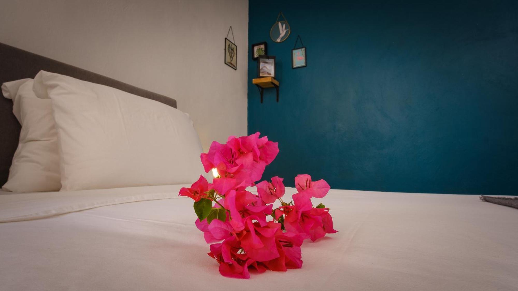 Saint Joris A Tiny Boutique Resort Βίλλεμσταντ Εξωτερικό φωτογραφία